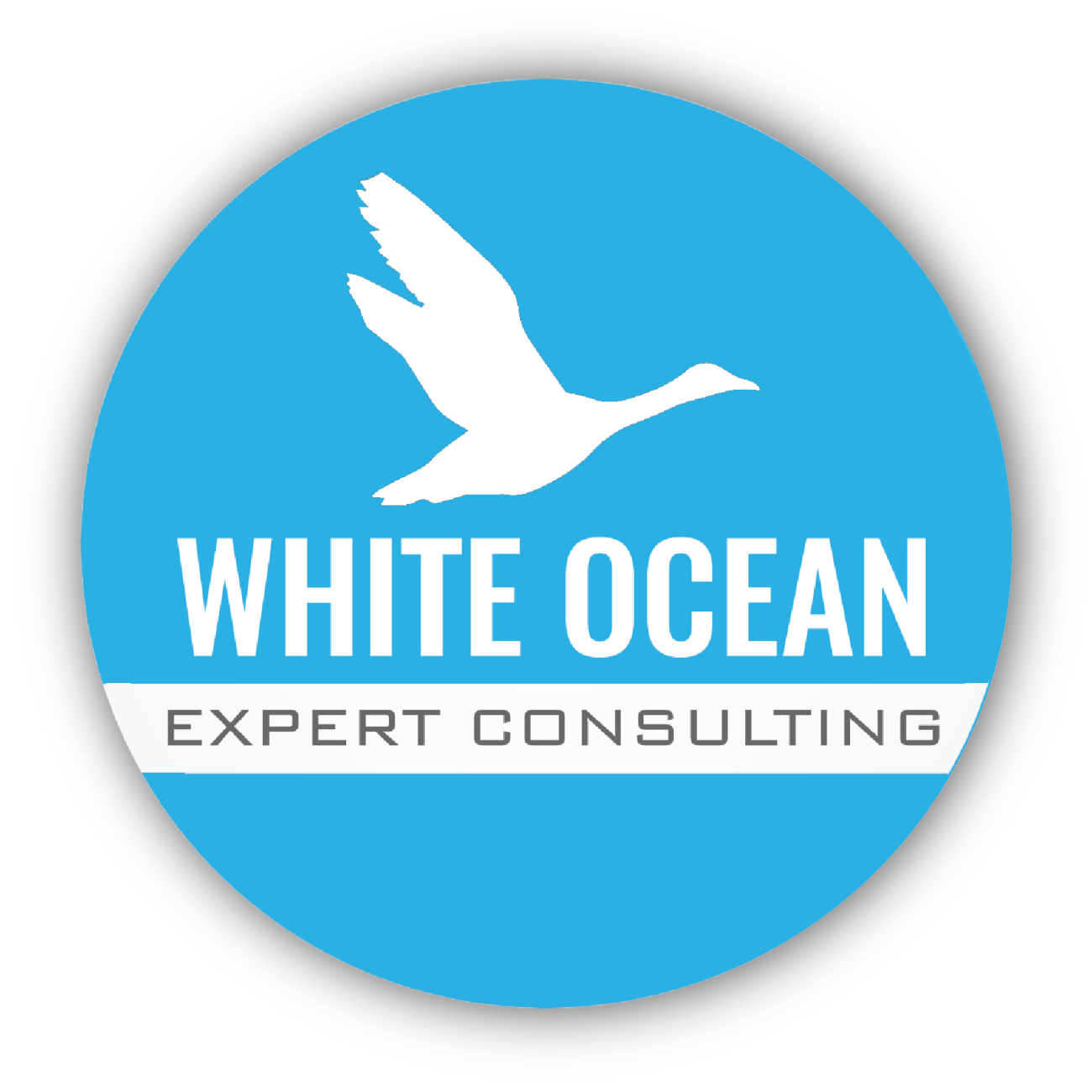 White Ocean Expert Consulting